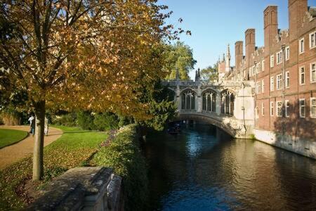 Quaint 2 Bed Cottage In The Heart Of Cambridge Eksteriør billede